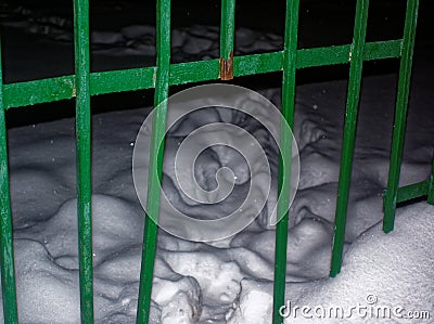 Footprints in the snow from a hole in the fence Stock Photo