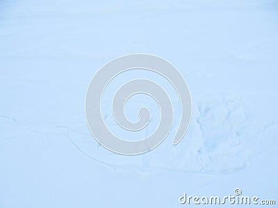 Footprints in the snow from the snowshoe Stock Photo