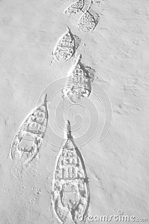 Footprints of a snowshoe left on the snow Stock Photo