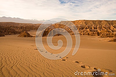 Footprints at Valle de la Muerte in Atacama Desert Stock Photo