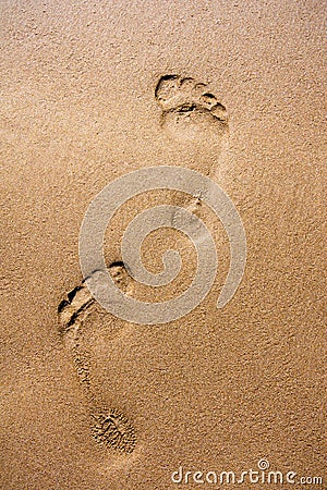 Footprints in wet sand Stock Photo