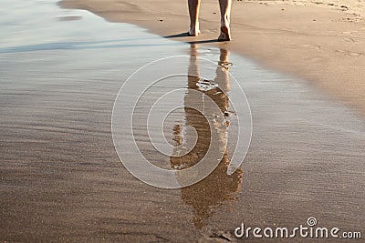 Footprints in wet sand of beach Stock Photo