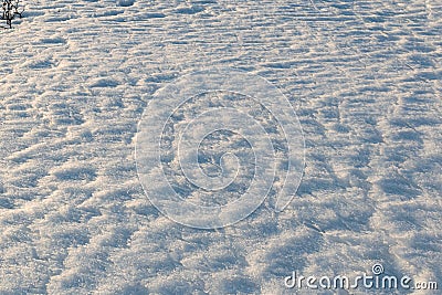 Footprints on the winter carpet , on the white snow, on the layer of frozen crystal Stock Photo