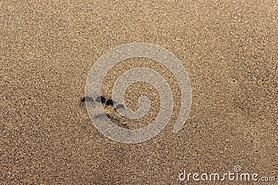 Footstep on brown sand beach. footprint Stock Photo