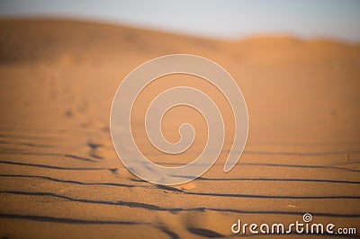 Footsteps in a desert Stock Photo