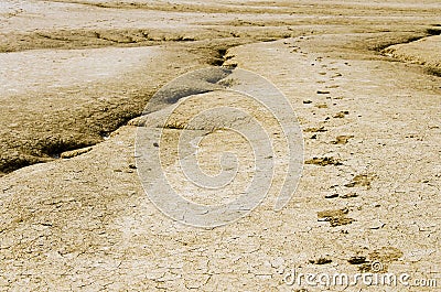 Footsteps Stock Photo