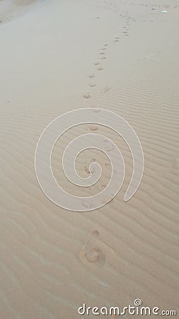 Footsteps on desert sand, Sahara desert Stock Photo