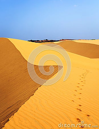 Footsteps in desert Stock Photo