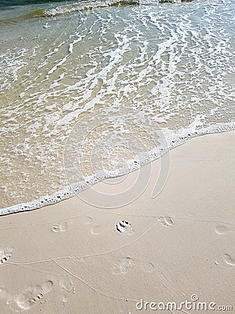 Footsteps and pawprint on beach Stock Photo