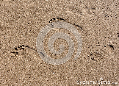 Footsteps on sand on the beach Stock Photo