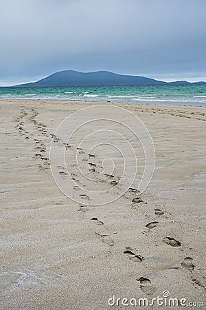 Footsteps in the sand on the beautiful Luskentyre beach, Isle of Harris Stock Photo