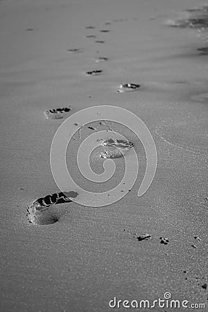 Footsteps in sand, black and white. Footprints on the beach, monochrome. Walk concept. Human steps on the seashore. Stock Photo