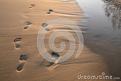 Footsteps in sand at sunset. Beautiful sandy tropical beach with footprints on the shore. Stock Photo