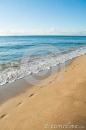 Footsteps on the sandy beach Stock Photo