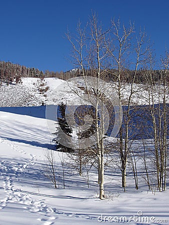 Footsteps in the Snow Stock Photo