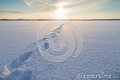 Footsteps on snow at a frozen lake Stock Photo