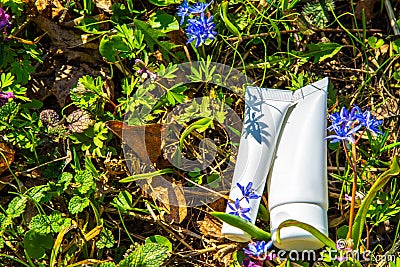 Foraged and wild-harvested beauty Stock Photo