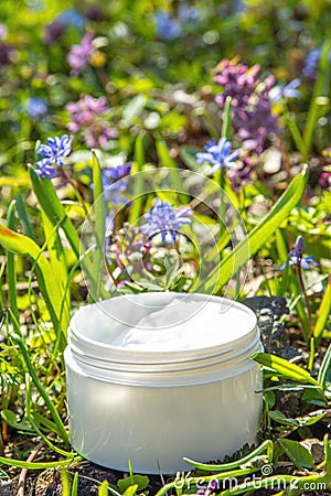 Foraged and wild-harvested beauty Stock Photo