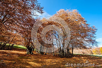 Forca d`Acero, Abruzzo National Park, Italy Stock Photo