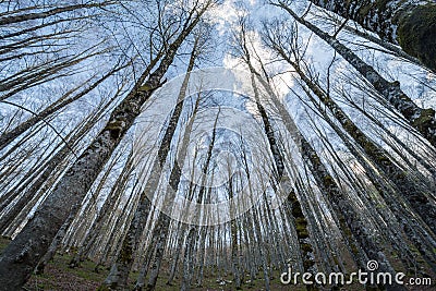 Forca d`Acero, access to Parco Nazionale d`Abruzzo, Italy Stock Photo