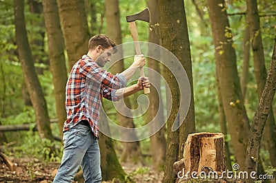 Force is required. survive in wild nature concept. man with axe in the forest. cutter going to cut tree. lumberjack Stock Photo