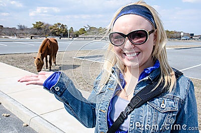 Forced perspective of a blonde woman making a wild horse eat out of hand Editorial Stock Photo