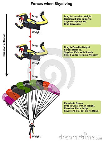 Forces when skydiving infographic diagram Vector Illustration