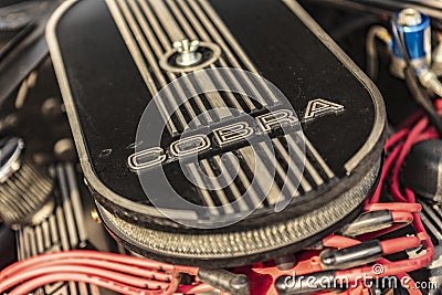 Ford Mustang Cobra Engine Detail Editorial Stock Photo
