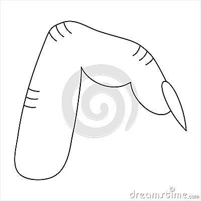 Forefinger. Sketch. Severed limb with sharp fingernail. Vector illustration. The gnarled limb of a witch. Part of a human hand. Vector Illustration