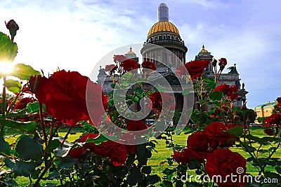 St. Petersburg. Saint Isaac`s Cathedral. Summer, Cathedral and Flowers Stock Photo
