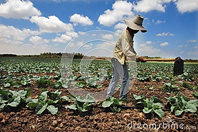 Foreign Thai worker in Israel Editorial Stock Photo