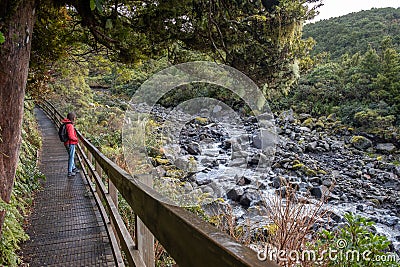 Foreign tourist visiting Wilkies Pools trail, Mount Egmont in New Zealand Stock Photo