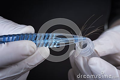 Forensic Science Stock Photo