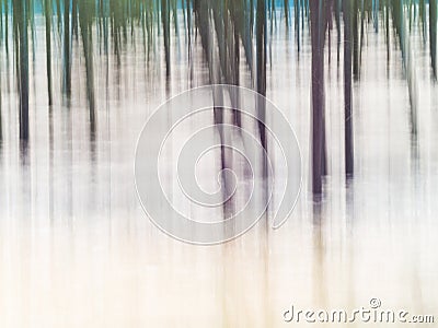 Forest - abstract impressionist blurry background Stock Photo