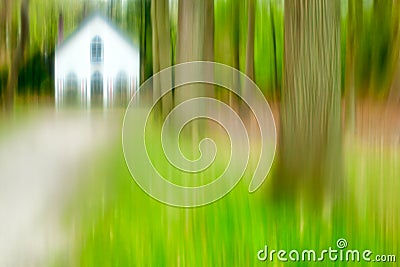 Forest Abstract Stock Photo