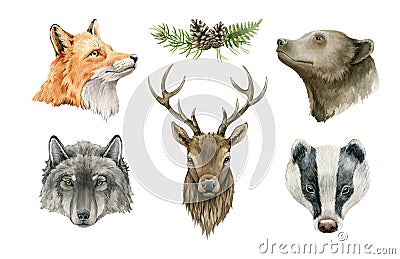 Forest animal portrait. Watercolor wildlife illustration. Fox, wolf, grizzly bear, badger, deer head element set. Hand Cartoon Illustration