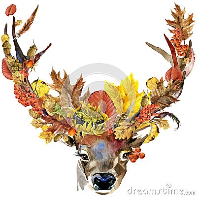 Forest animal roe deer Autumn nature colorful leaves background , fruit, berries, mushrooms, yellow leaves, rose hips on black bac Stock Photo