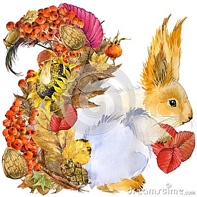 Forest animal squirrel, Autumn nature colorful leaves background Stock Photo