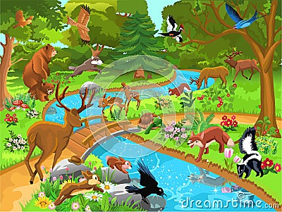 Forest animals coming to drink water Vector Illustration