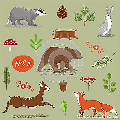 Forest animals and elements Vector Illustration
