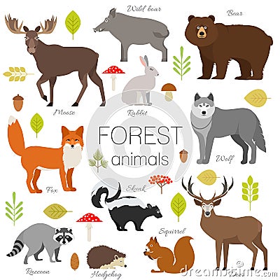 Forest animals isolated vector set. Vector Illustration