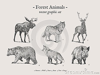 Forest animals vintage illustration set Vector Illustration