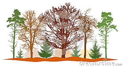 Forest in autumn, silhouettes of bare tree, firs, pine and etc. Vector illustration Vector Illustration