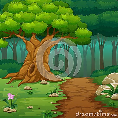 Forest background with dirt road Vector Illustration