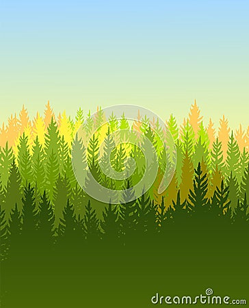 Forest background. Silhouette panorama. Sunrise. Landscape with trees. Conifers. Beautiful view. Summer scene Vector Illustration