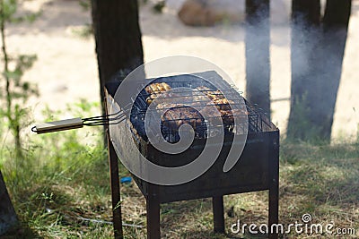 Forest BBQ Stock Photo