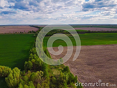 Forest belt along farm fields on a sunny day, aerial view. Agricultural landscape Stock Photo