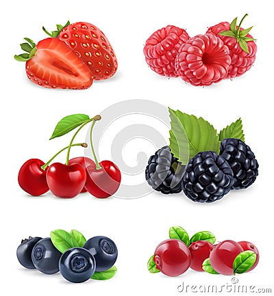 Forest berry. Sweet fruit. Realistic illustration. Vector icon set Vector Illustration