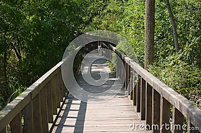 Forest bridge Stock Photo