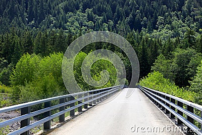 Forest bridge Stock Photo